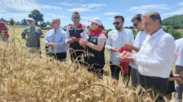 'Altındaneler Toprakla Buluşuyor' projesinde hasat heyecanı