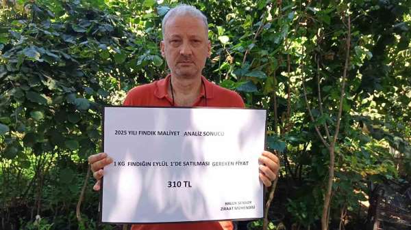 Ziraat mühendisinden fındığın maliyeti hesabı: 222 TL