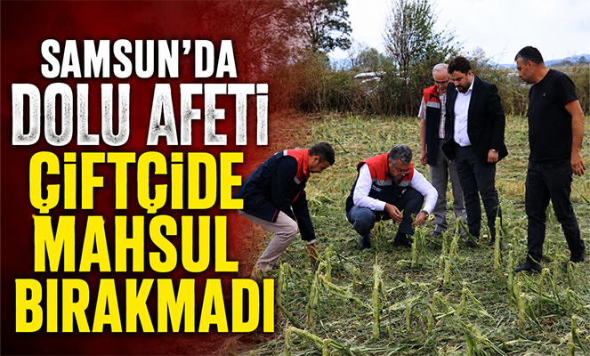 Samsun'da dolu afetinde 40 bin dekar tarım arazisi olumsuz etkilendi
