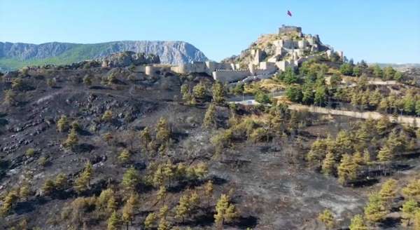 Başkan Çelik açıkladı: 'Amasya Kalesi surları yangında zarar görmedi'