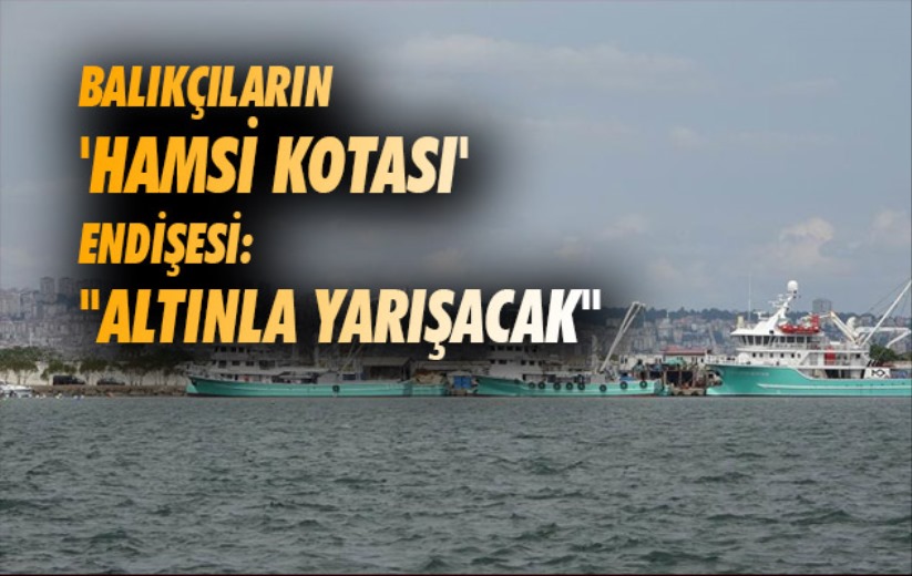 Balıkçıların 'hamsi kotası' endişesi: 'Altınla yarışacak'