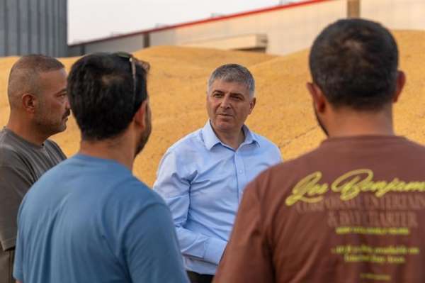 Adana'da mısırda 1 milyon 135 bin ton rekolte bekleniyor