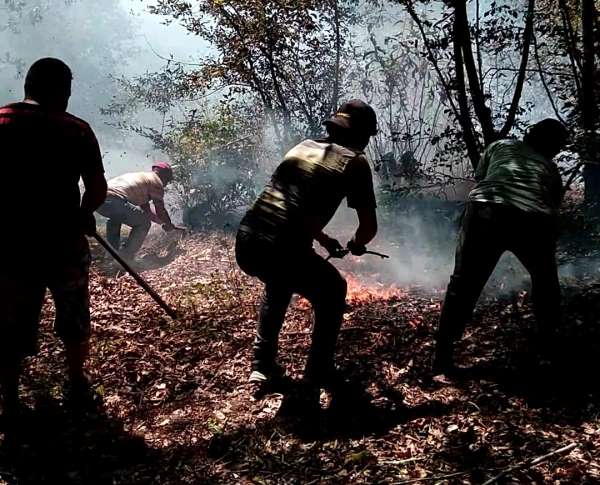 Ordu'nun iki ilçesinde çıkan yangın ekipler tarafından söndürüldü