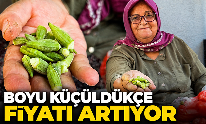 Boyu küçüldükçe fiyatı artıyor