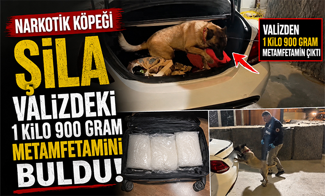 Narkotik köpeği Şila valizdeki 1 kilo 900 gram metamfetamini buldu