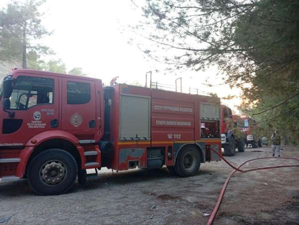 Yayladağı'nda ormanlık alan yangını kontrol altına alındı