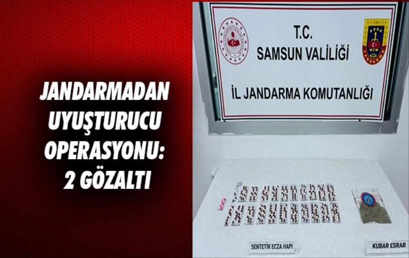 Samsun'da jandarmadan uyuşturucu operasyonu: 2 gözaltı