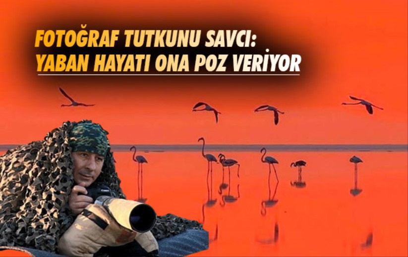 Samsun'da fotoğraf tutkunu savcı: Yaban hayatı ona poz veriyor