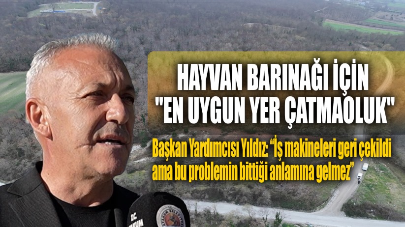 Başkan Yardımcısı Yıldız: 'Bu hayvanlar, can dostlarımız'
