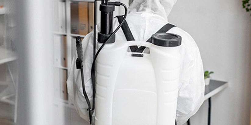 Pire İlaçlama Hizmetleri  Evinizi Zararlılardan Koruyun