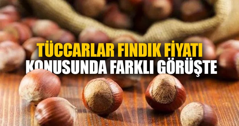 Tüccarlar fındık fiyatı konusunda farklı görüşte