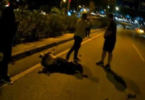 Motosiklet sürücüsünün kaza anı kamerada