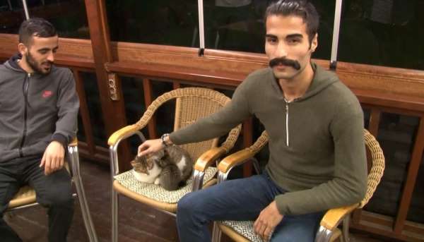 Bağcılar'daki kedi saldırısının görgü tanıkları konuştu