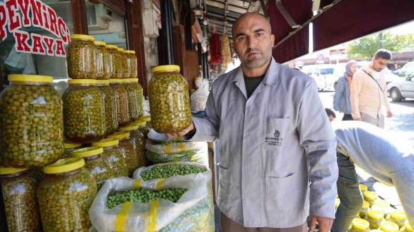 Gaziantep'te yeşil zeytinler tezgaha indi