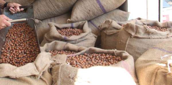 Fındıkta üreticinin 400 lira hedefi başka bahara kaldı