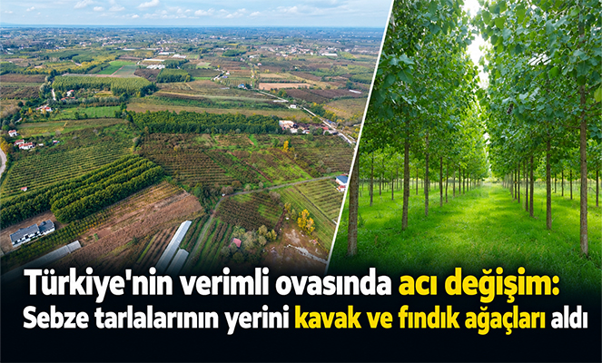 Türkiye'nin verimli ovasında acı değişim