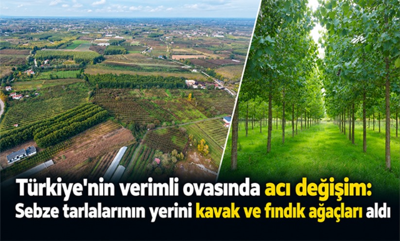 Türkiye'nin verimli ovasında acı değişim