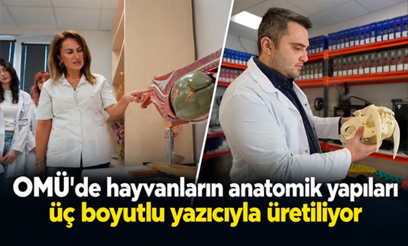 OMÜ'de hayvanların anatomik yapıları üç boyutlu yazıcıyla üretiliyor, eğitimde kullanılıyor