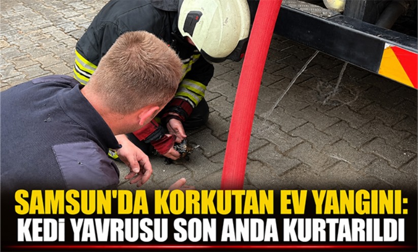 Samsun'da korkutan ev yangını: Kedi yavrusu son anda kurtarıldı