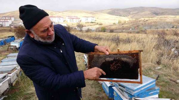 Yozgat'ta varroa hastalığı 15 bin kovana zarar verdi