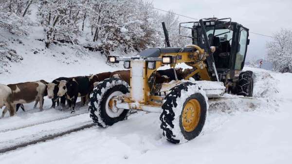 Amasya'da 107 köy yolu kar yağışından ulaşıma kapandı