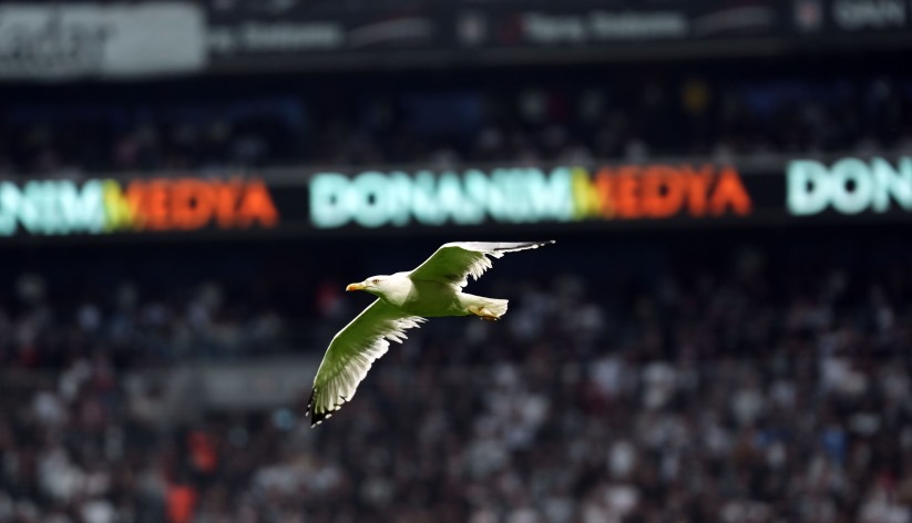 Kartal Değil, Martı Damgası: Seba'nın Ruhu Yetişti Ama Fayda Etmedi