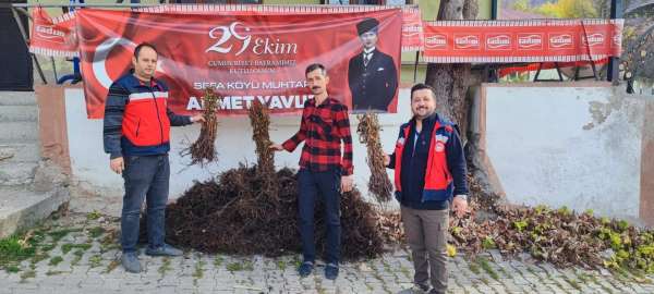 Domaniç'te çiftçilere yüzde 75 hibeli 3 bin adet ahududu fidanı dağıtıldı