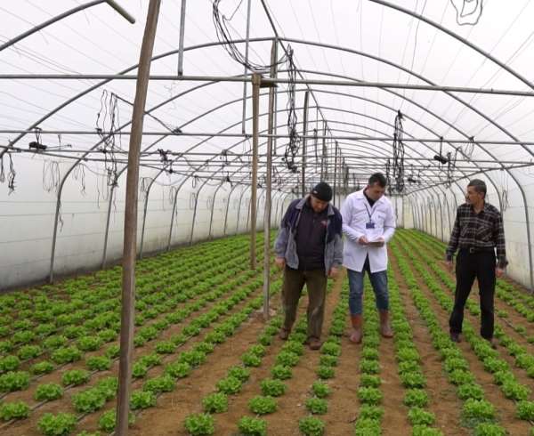 Büyükşehir'den çiftçilere yüzde 50 hibeli sera desteği 