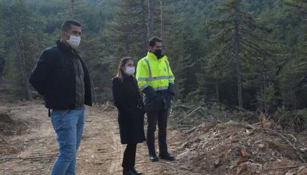 Kaymakam Yazıcı orman tensil çalışmalarını inceledi