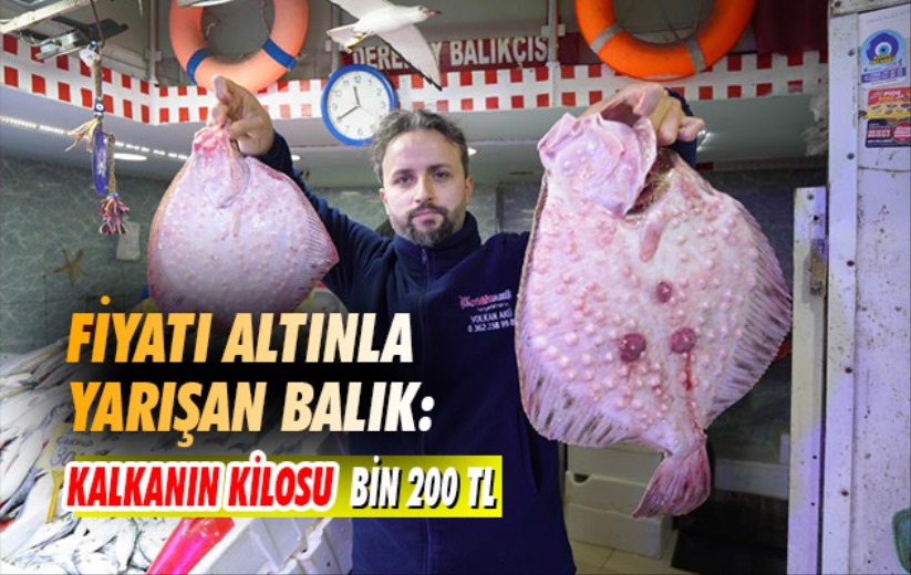 Samsun'da fiyatı altınla yarışan balık: Kalkanın kilosu bin 200 TL