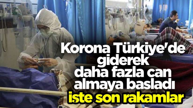 Korona Türkiye'de giderek daha fazla can almaya başladı