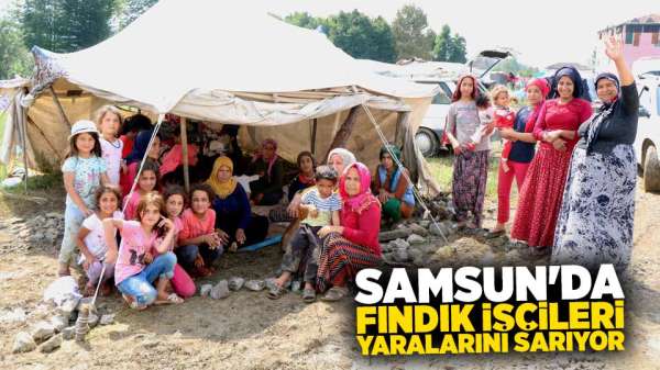 Samsun'da fındık işçileri yaralarını sarıyor