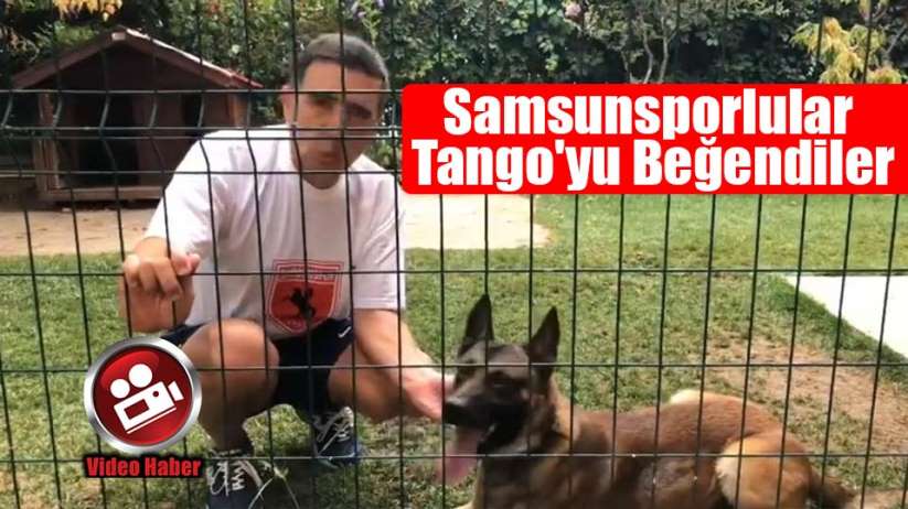 Samsunsporlular Tango'yu Beğendiler