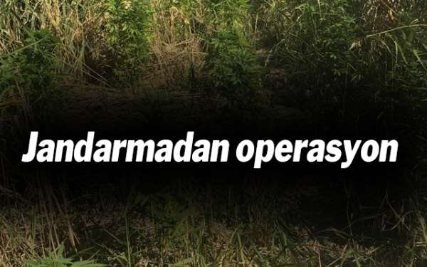 Jandarmadan operasyon 