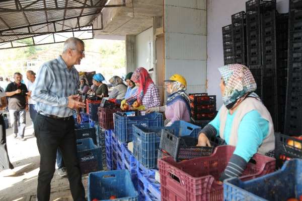 Mezitli Belediyesi, domates üreticilerine kucak açtı 