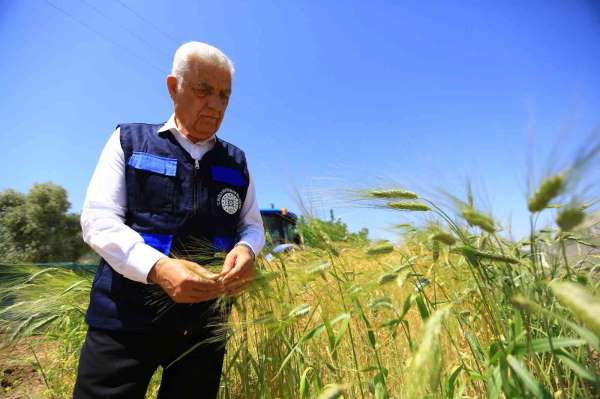 Büyükşehir'den tarım ve hayvancılığa destek - Muğla haber