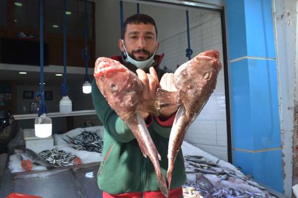 Görenleri hem korkuttu hem şaşırttı 