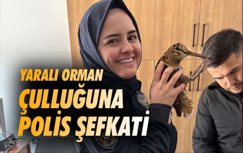 Samsun'da yaralı orman çulluğuna polis şefkati