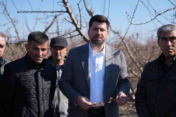 Tarsus'ta dondan zarar gören bölgelerin afet bölgesi ilan edilmesi talebi