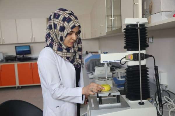 Iğdır Üniversitesi'nden Covıd-19 virüsüne karşı 'Hidrojenle Zenginleştirilmiş Su