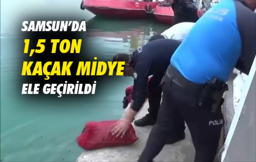 Samsun'da 1,5 ton kaçak midye ele geçirildi