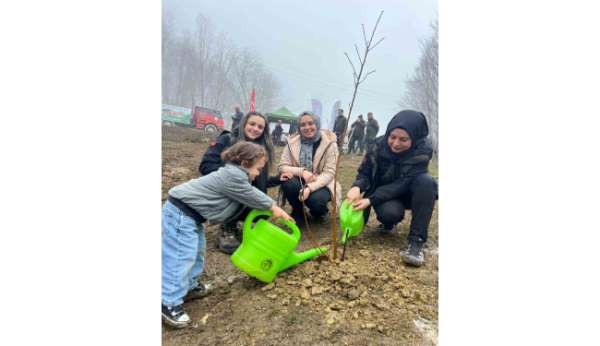 Türkeli'de yüzlerce fidan toprakla buluştu