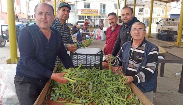 İlkbahar sebzesi baklada hasat zamanı - İzmir haber