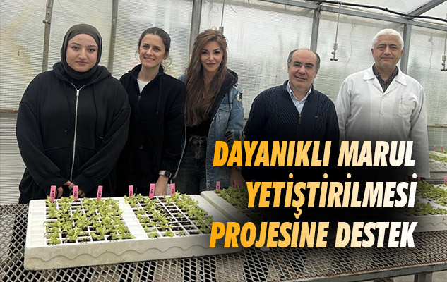 Samsun'da dayanıklı marul yetiştirilmesi projesine destek
