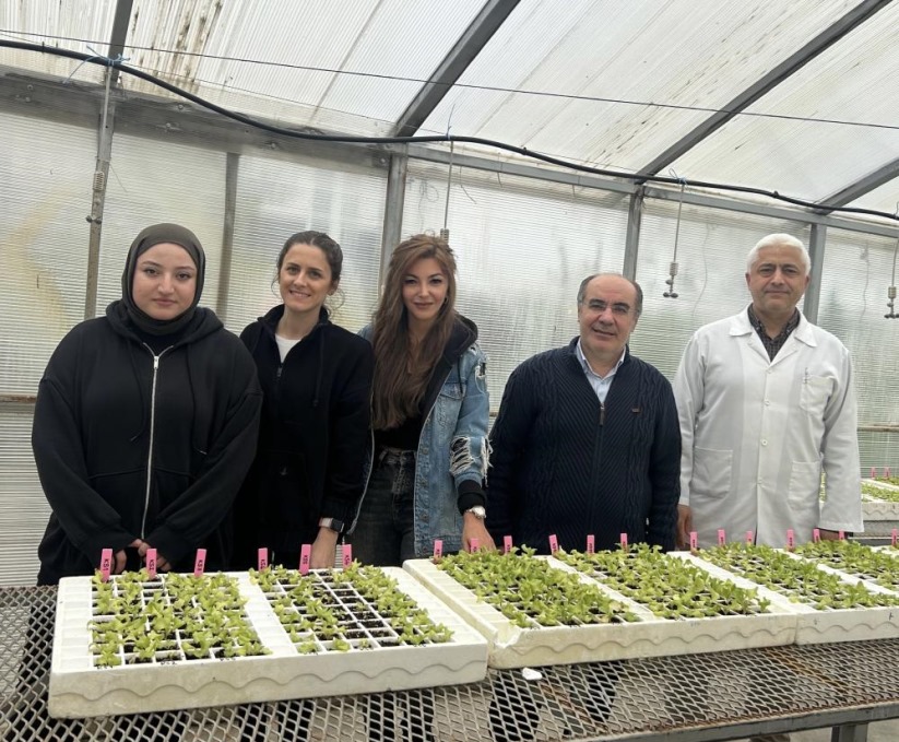 Samsun'da dayanıklı marul yetiştirilmesi projesine destek