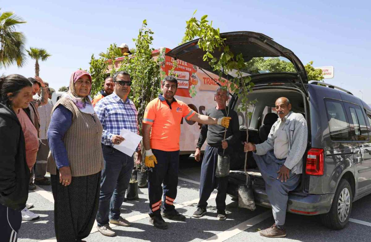 Mersin'de üreticilere Trabzon hurması fidanı dağıtılıyor