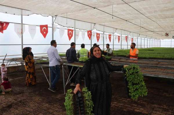 Şanlıurfa bu sene de 'acı'ya doyacak