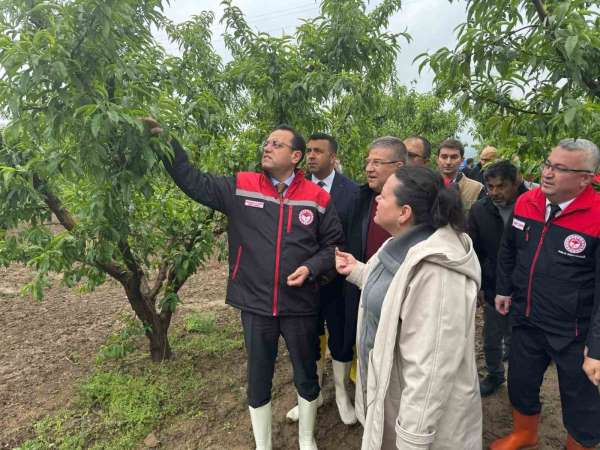 Tarım ve Orman Bakan Yardımcısı Gizligider, Denizli'de zirai dondan etkilenen tarımsal alanları inceledi