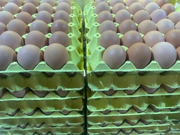 Yumurta fiyatları 'mayıs çukuru' yaklaşınca düşüşe geçti