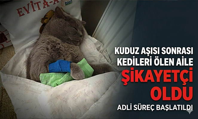 Kuduz aşısı sonrası kedileri ölen aile şikayetçi oldu